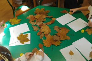 Zajęcia matematyczno – przyrodnicze